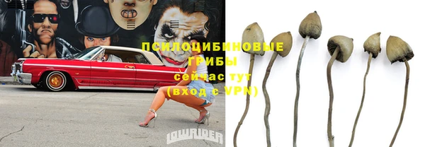 дживик Медвежьегорск
