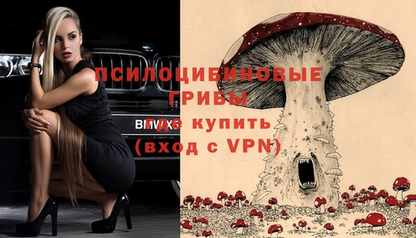 мяу мяу мука Мегион