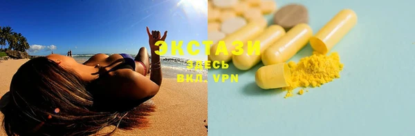 шишки Нестеровская