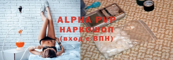 сатива Белая Холуница