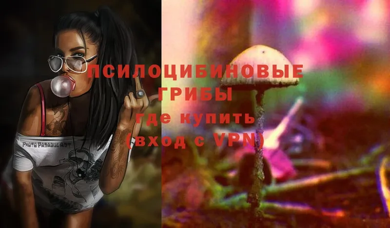 Псилоцибиновые грибы Magic Shrooms  blacksprut ссылки  Геленджик  купить  