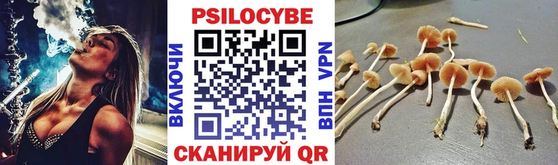MEGA ссылки  Геленджик  Галлюциногенные грибы Cubensis 