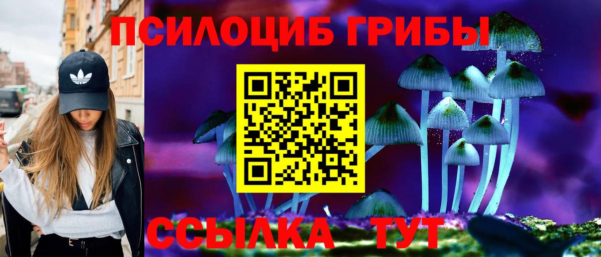 Геленджик  Галлюциногенные грибы мицелий  что такое   Псилоцибиновые грибы MAGIC MUSHROOMS  Вход с VPN 